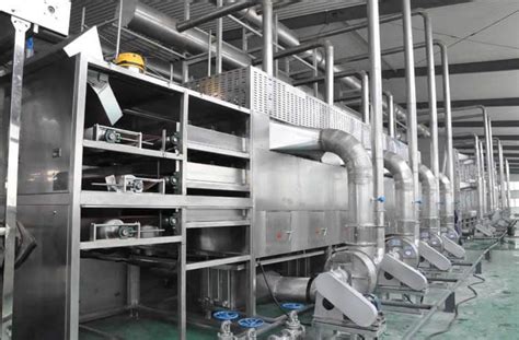 vegetable drying equipment|Top 10 .